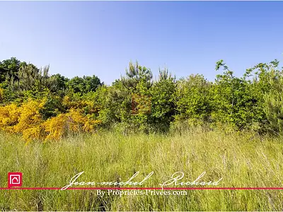 Terrain, 101 030 m²