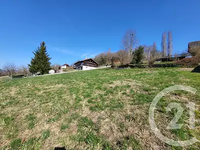 Terrain