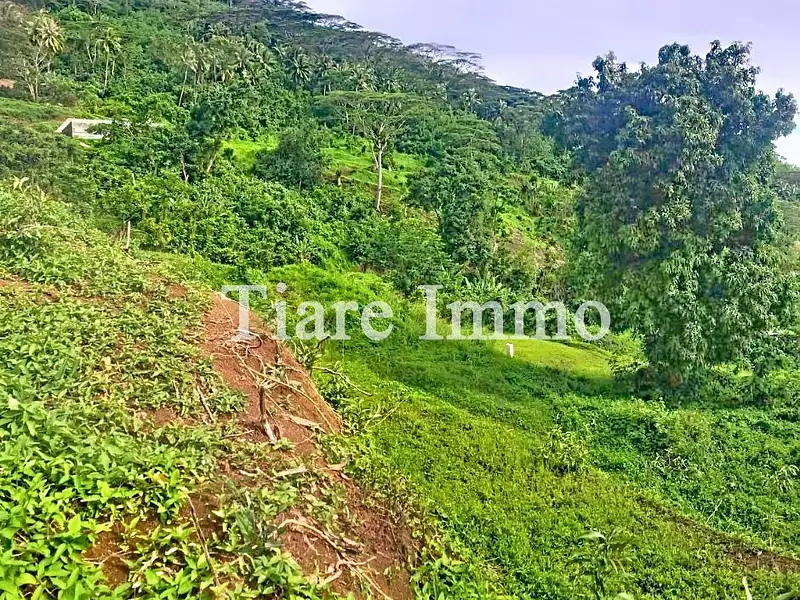 Terrain, 2 000 m²