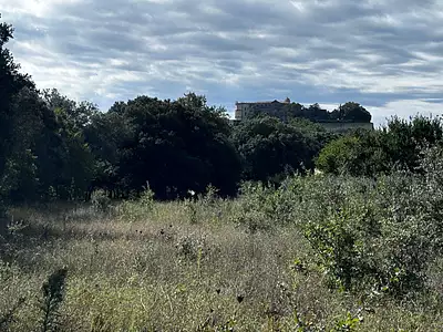 Terrain, 1 200 m²