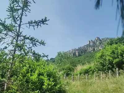 Terrain, 1 019 m²