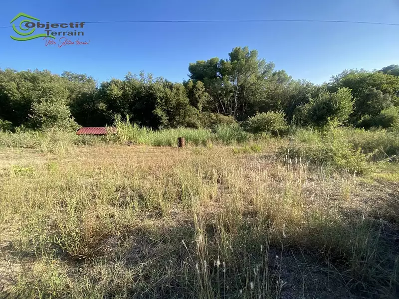 Terrain, 3 705 m²
