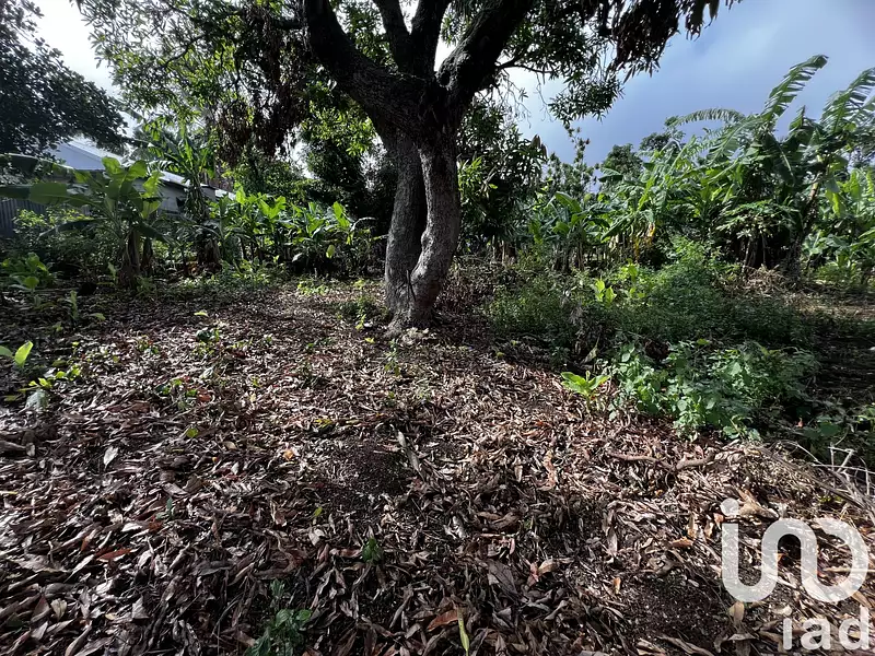 Terrain, 428 m²
