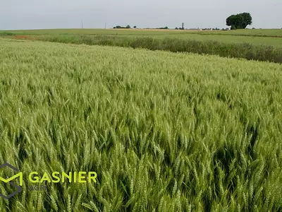 Divers, 1 000 000 m²