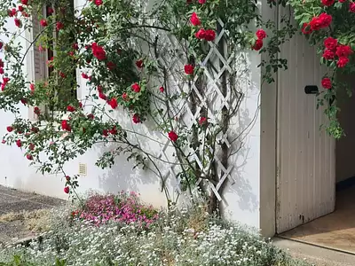 Maison, 80 m²