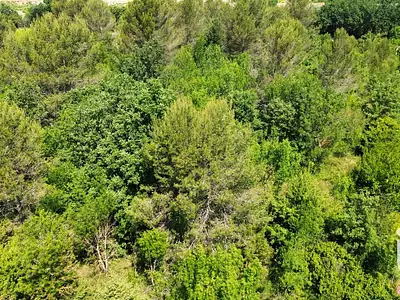Terrain, 12 527 m²