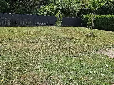 Terrain