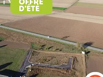 Les Vignes