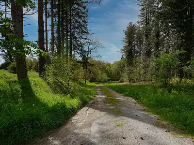 Terrain, 96 738 m²
