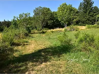Terrain, 1 300 m²