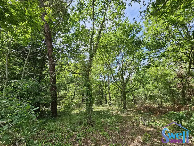 Terrain, 1 600 m²
