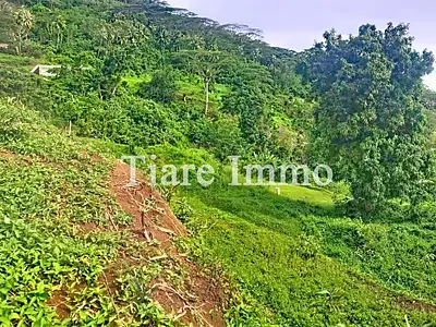 Terrain, 2 000 m²