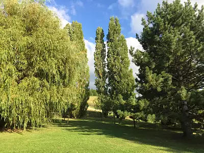 Maison, 185 m²
