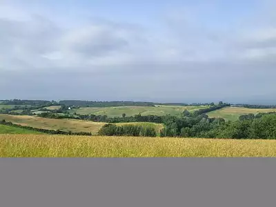 Terrain, 3 000 m²