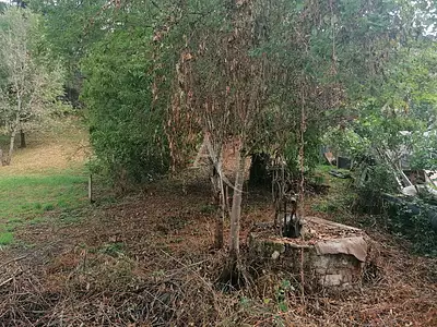 Terrain, 555 m²