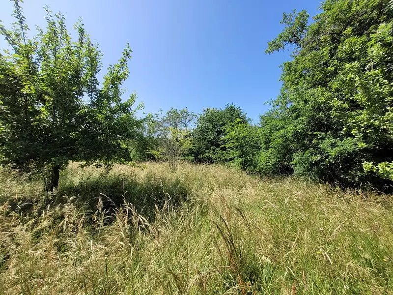 Maison, 142 m²