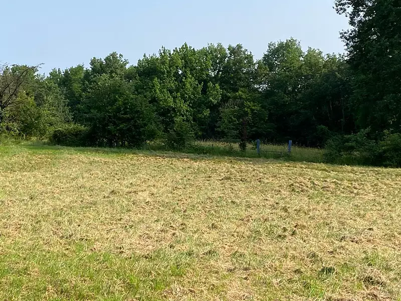 Maison, 300 m²