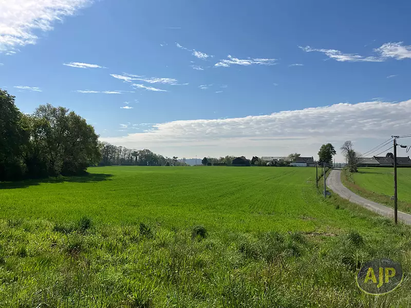Terrain, 990 m²