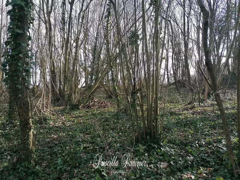 Terrain, 5 903 m²