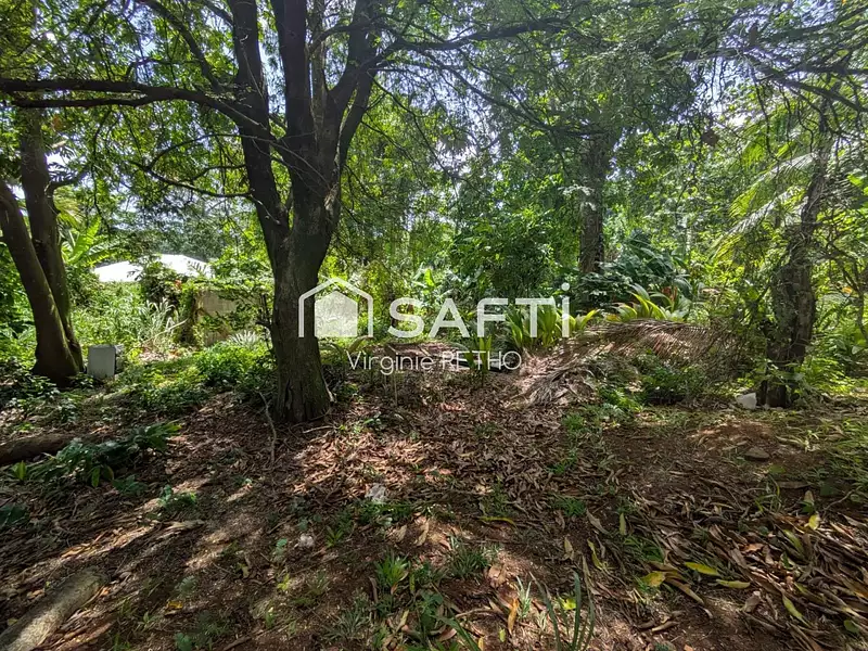 Terrain, 784 m²