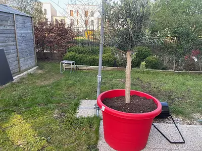 Appartement, 75 m²