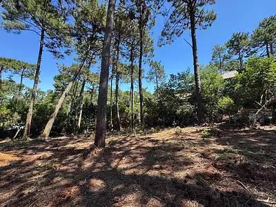 Terrain, 1 168 m²