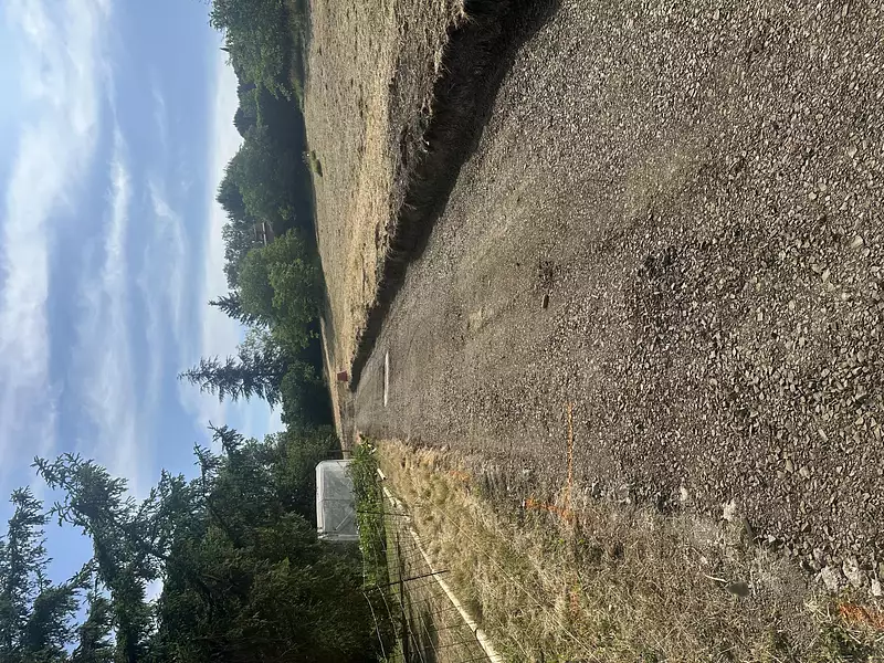 Terrain, 1 556 m²
