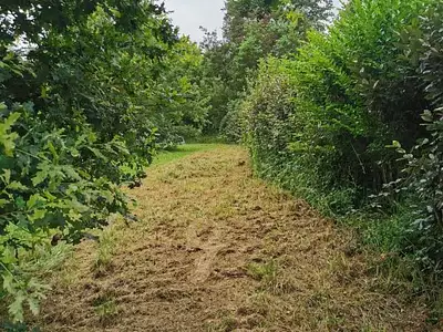 Terrain, 2 388 m²