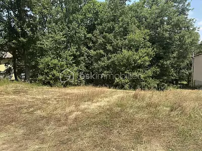 Terrain, 2 135 m²