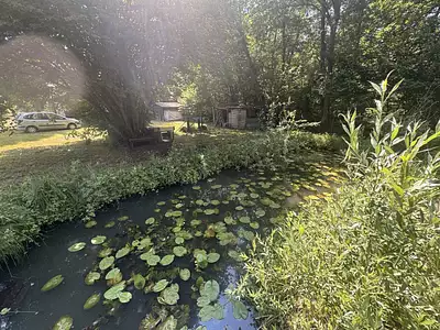 Terrain, 2 012 m²