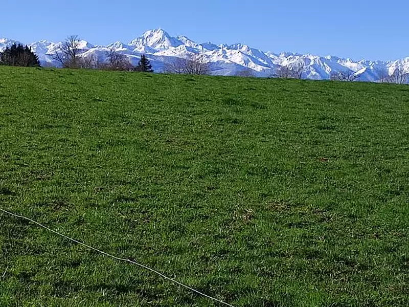 Terrain, 1 557 m²