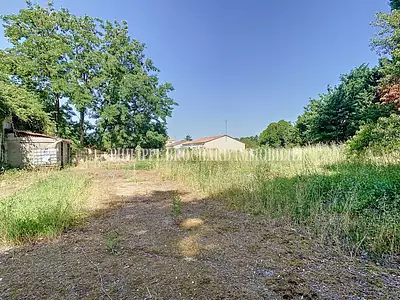 Terrain, 1 131 m²