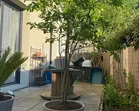 Appartement, 76,65 m²