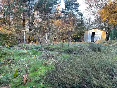 Maison, 61 m²
