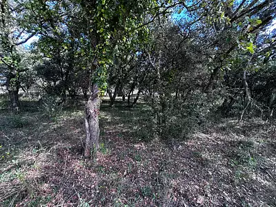 Terrain, 1 200 m²