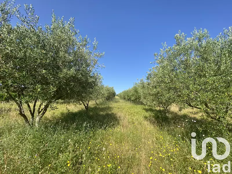 Terrain, 216 211 m²