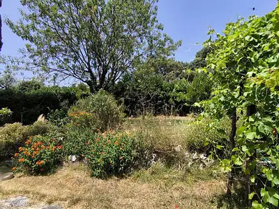 Terrain, 197 m²