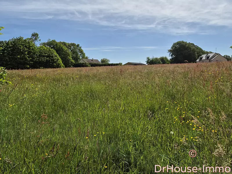 Terrain, 4 565 m²