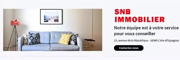 SNB IMMOBILIER
