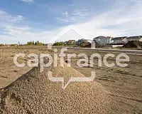 Terrain