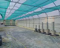 Terrain, 6 000 m²