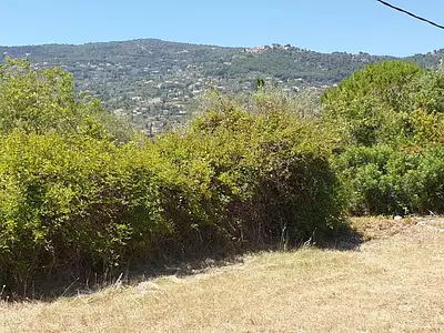 Terrain, 2 280 m²