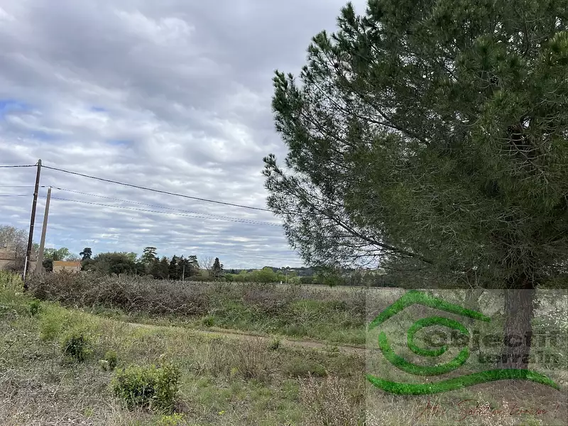 Terrain, 713 m²