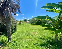 Terrain, 1 288 m²
