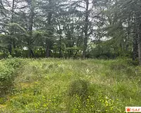 Terrain, 1 135 m²
