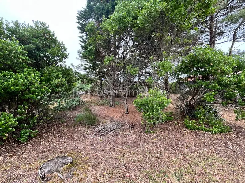 Terrain, 908 m²