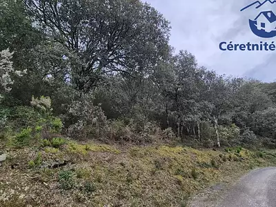 Terrain, 12 665 m²