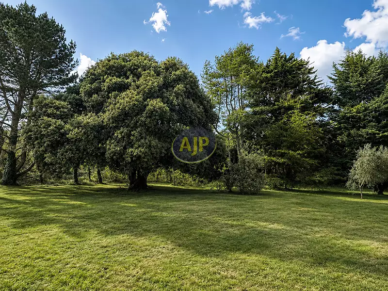 Terrain, 4 302 m²