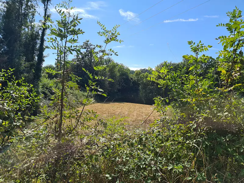 Terrain, 4 480 m²