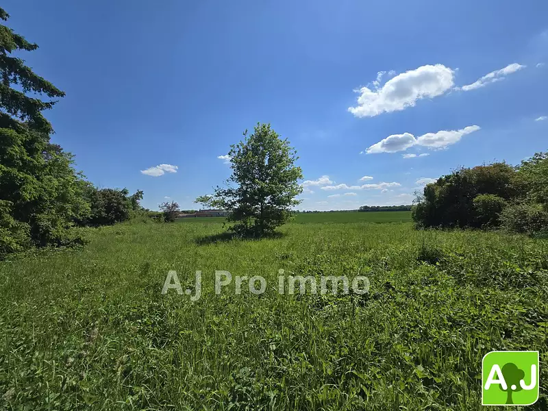 Terrain, 1 558 m²